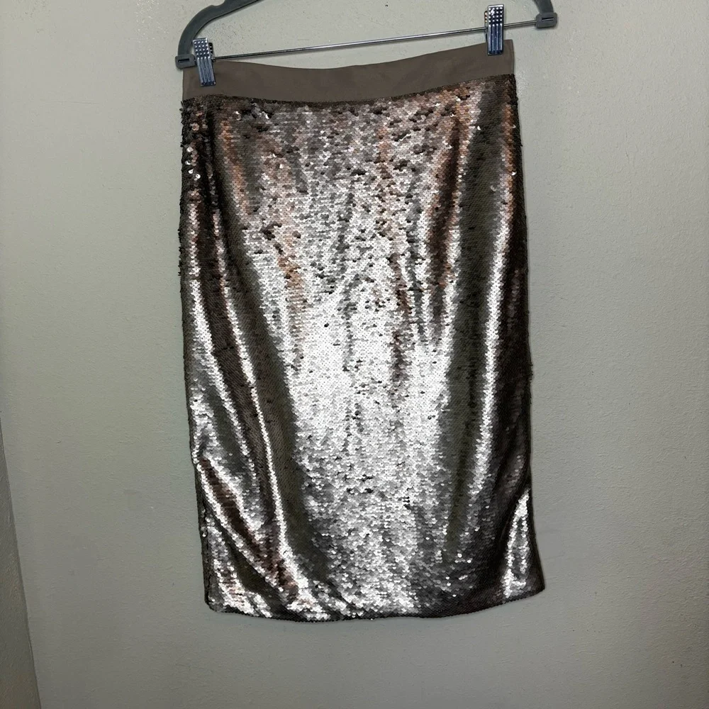 Banana Republic Matt Silver Sequin Pencil Midi Skirt Size 6